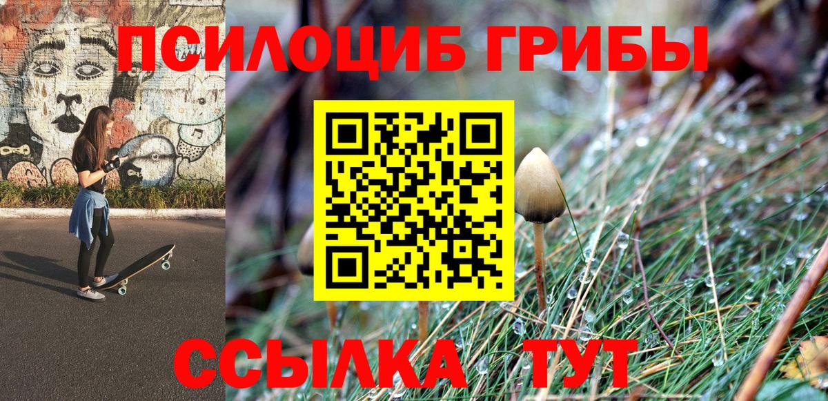 Псилоцибиновые грибы Cubensis  Вход с VPN  Галлюциногенные грибы Psilocybine cubensis  Якутск 